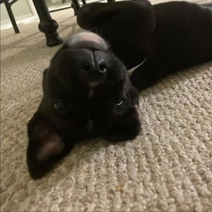 Meet your Posher, Kyleigh